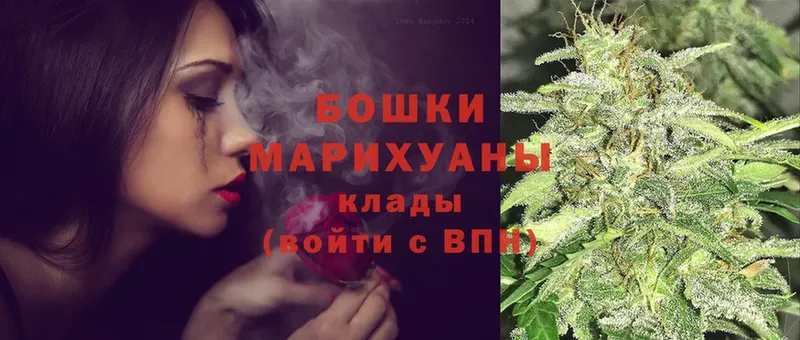 где продают   Богучар  Бошки марихуана Amnesia 